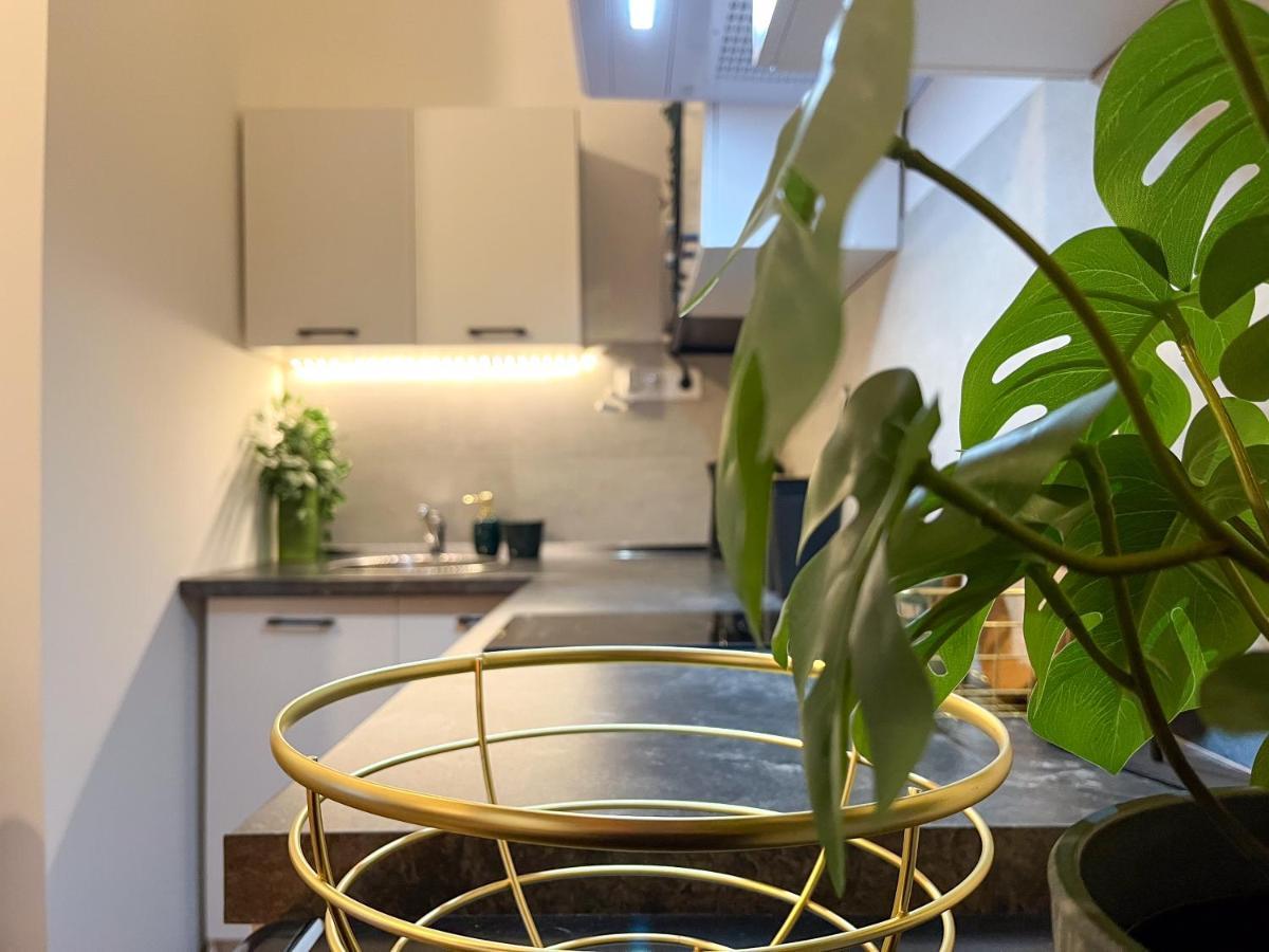 Green Goblin Apartment With Free Private Parking Budapest Exteriör bild